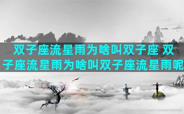 双子座流星雨为啥叫双子座 双子座流星雨为啥叫双子座流星雨呢